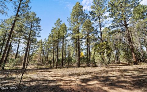 Tiny photo for 1521 S Little Leaf Lane, Show Low, AZ 85901 (MLS # 259098)