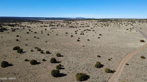 Tiny photo for TBD Lakeview Ranch 1, Concho, AZ 85924 (MLS # 259271)