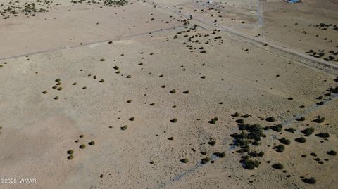 Tiny photo for TBD Lakeview Ranch 1, Concho, AZ 85924 (MLS # 259271)