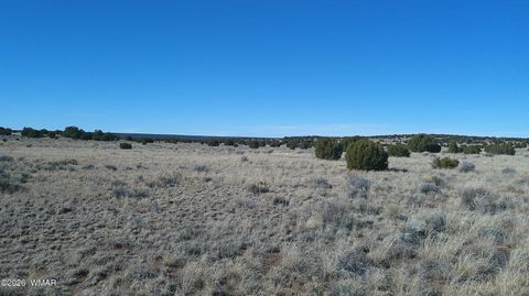 Tiny photo for TBD Lakeview Ranch 1, Concho, AZ 85924 (MLS # 259271)