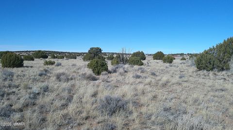 Tiny photo for TBD Lakeview Ranch 1, Concho, AZ 85924 (MLS # 259271)