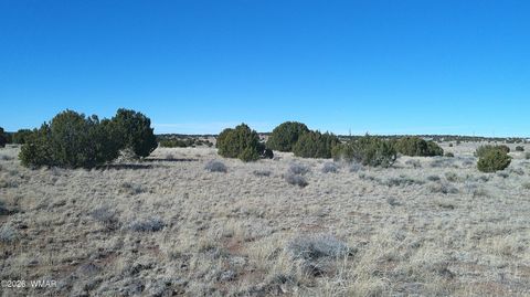 Tiny photo for TBD Lakeview Ranch 1, Concho, AZ 85924 (MLS # 259271)
