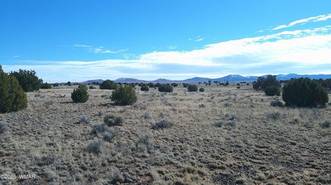 Photo of TBD Lakeview Ranch 1, Concho, AZ 85924 (MLS # 259271)