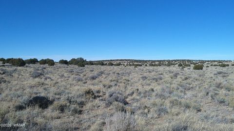 Tiny photo for TBD Lakeview Ranch 1, Concho, AZ 85924 (MLS # 259271)