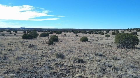 Tiny photo for TBD Lakeview Ranch 1, Concho, AZ 85924 (MLS # 259271)