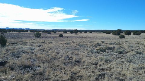 Tiny photo for TBD Lakeview Ranch 1, Concho, AZ 85924 (MLS # 259271)