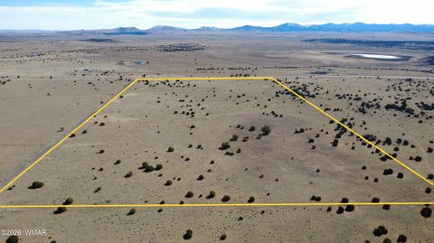 Tiny photo for TBD Lakeview Ranch 1, Concho, AZ 85924 (MLS # 259271)