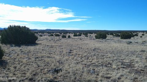 Tiny photo for TBD Lakeview Ranch 1, Concho, AZ 85924 (MLS # 259271)