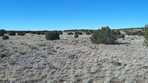 Tiny photo for TBD Lakeview Ranch 1, Concho, AZ 85924 (MLS # 259271)