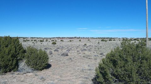 Tiny photo for TBD Lakeview Ranch 1, Concho, AZ 85924 (MLS # 259271)