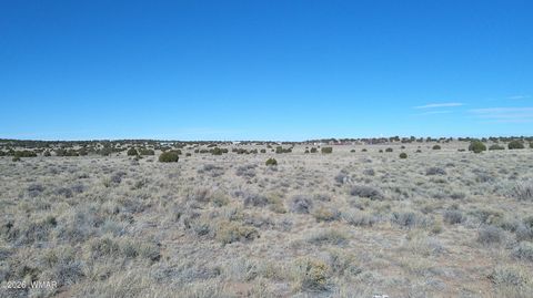 Tiny photo for TBD Lakeview Ranch 1, Concho, AZ 85924 (MLS # 259271)