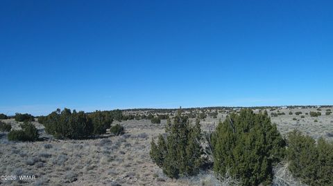 Tiny photo for TBD Lakeview Ranch 1, Concho, AZ 85924 (MLS # 259271)