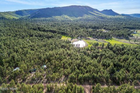 Tiny photo for 15 Co Rd 2083, Alpine, AZ 85920 (MLS # 257507)