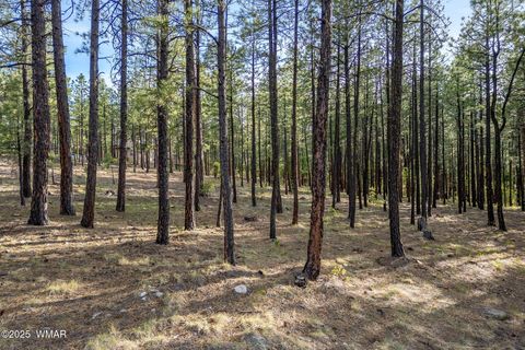 Tiny photo for 15 Co Rd 2083, Alpine, AZ 85920 (MLS # 257507)