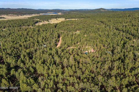 Tiny photo for 15 Co Rd 2083, Alpine, AZ 85920 (MLS # 257507)