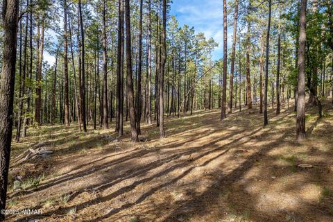 Tiny photo for 15 Co Rd 2083, Alpine, AZ 85920 (MLS # 257507)
