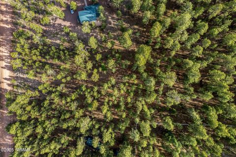 Tiny photo for 15 Co Rd 2083, Alpine, AZ 85920 (MLS # 257507)