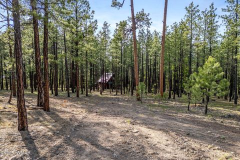 Tiny photo for 15 Co Rd 2083, Alpine, AZ 85920 (MLS # 257507)