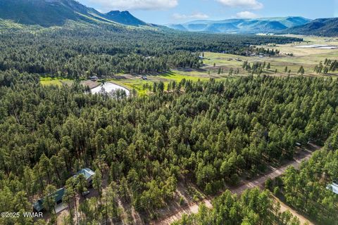 Tiny photo for 15 Co Rd 2083, Alpine, AZ 85920 (MLS # 257507)