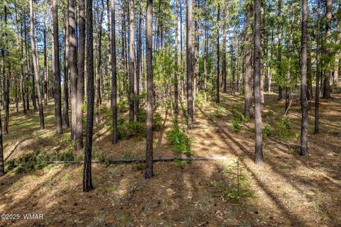 Photo of 15 Co Rd 2083, Alpine, AZ 85920 (MLS # 257507) Photo of 15 Co Rd 2083, Alpine, AZ 85920 (MLS # 257507)
