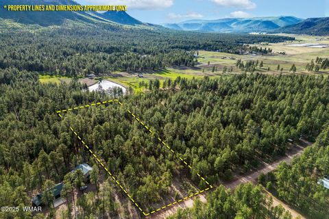 Tiny photo for 15 Co Rd 2083, Alpine, AZ 85920 (MLS # 257507)