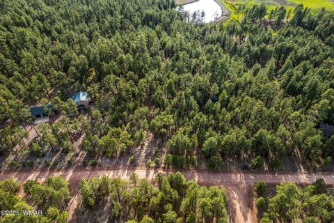 Tiny photo for 15 Co Rd 2083, Alpine, AZ 85920 (MLS # 257507)