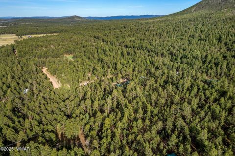 Tiny photo for 15 Co Rd 2083, Alpine, AZ 85920 (MLS # 257507)