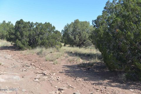 Tiny photo for 4027 Indian Bend Road, Snowflake, AZ 85937 (MLS # 259334)