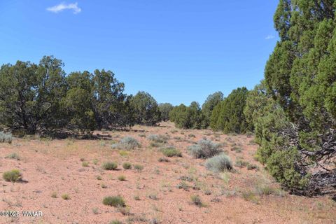 Photo of 4027 Indian Bend Road, Snowflake, AZ 85937 (MLS # 259334)