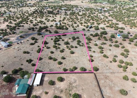 Tiny photo for 8519 Lyzniack Place, Show Low, AZ 85901 (MLS # 258371)