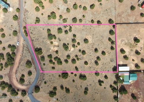 Photo of 8519 Lyzniack Place, Show Low, AZ 85901 (MLS # 258371)
