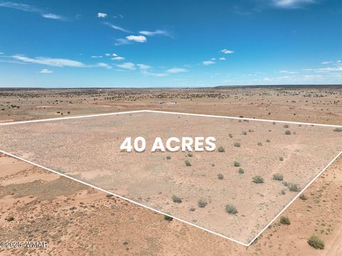 Tiny photo for 8263 E San Carlos Lane, Snowflake, AZ 85937 (MLS # 258183)