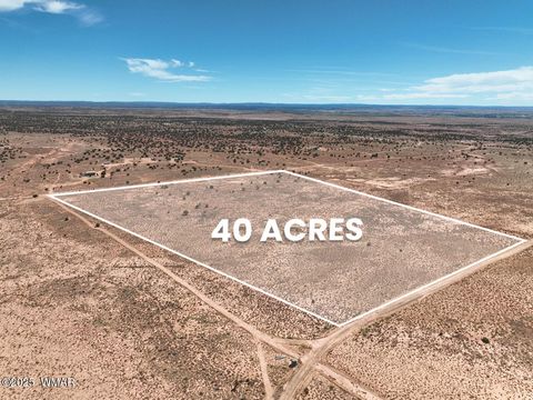 Tiny photo for 8263 E San Carlos Lane, Snowflake, AZ 85937 (MLS # 258183)