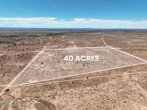 Tiny photo for 8263 E San Carlos Lane, Snowflake, AZ 85937 (MLS # 258183)