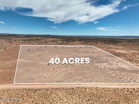 Photo of 8263 E San Carlos Lane, Snowflake, AZ 85937 (MLS # 258183)