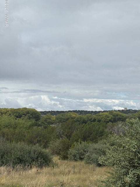 Photo of 7 County Road 5082, Concho, AZ 85924 (MLS # 263364)