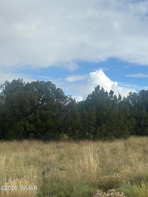 Tiny photo for 7 County Road 5082, Concho, AZ 85924 (MLS # 263364)