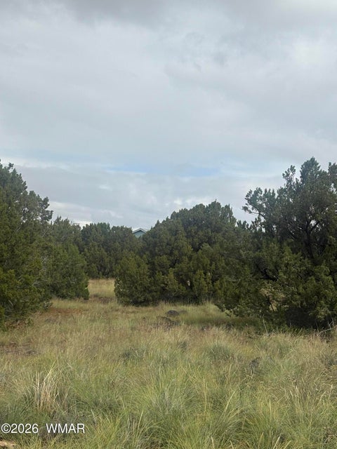 Tiny photo for 7 County Road 5082, Concho, AZ 85924 (MLS # 263364)
