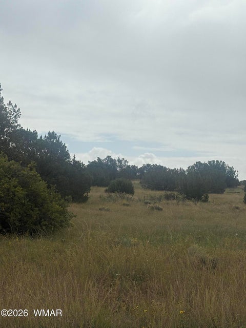 Tiny photo for 7 County Road 5082, Concho, AZ 85924 (MLS # 263364)