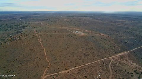 Tiny photo for 8694 Kasias Trail, Snowflake, AZ 85937 (MLS # 258709)