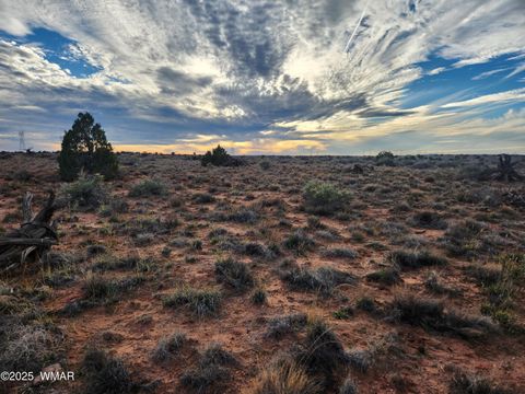 Tiny photo for 8694 Kasias Trail, Snowflake, AZ 85937 (MLS # 258709)