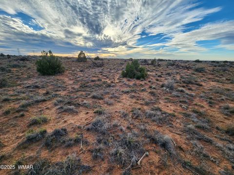 Tiny photo for 8694 Kasias Trail, Snowflake, AZ 85937 (MLS # 258709)