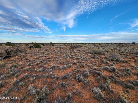 Tiny photo for 8694 Kasias Trail, Snowflake, AZ 85937 (MLS # 258709)