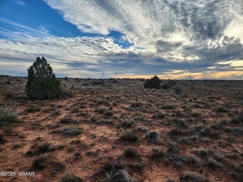 Tiny photo for 8694 Kasias Trail, Snowflake, AZ 85937 (MLS # 258709)