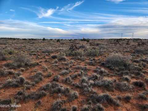 Tiny photo for 8694 Kasias Trail, Snowflake, AZ 85937 (MLS # 258709)