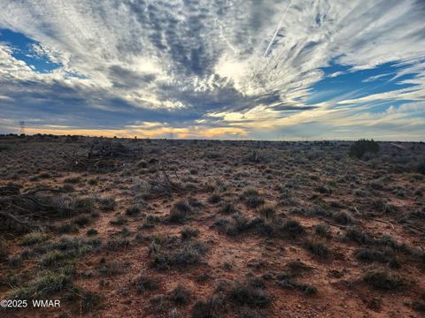 Tiny photo for 8694 Kasias Trail, Snowflake, AZ 85937 (MLS # 258709)