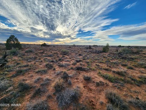 Tiny photo for 8694 Kasias Trail, Snowflake, AZ 85937 (MLS # 258709)