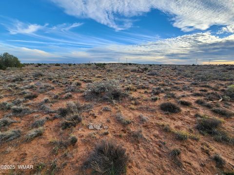 Tiny photo for 8694 Kasias Trail, Snowflake, AZ 85937 (MLS # 258709)