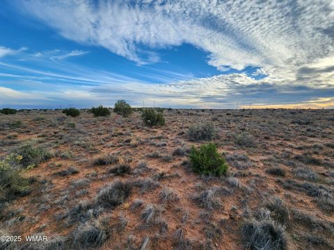 Tiny photo for 8694 Kasias Trail, Snowflake, AZ 85937 (MLS # 258709)