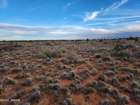 Tiny photo for 8694 Kasias Trail, Snowflake, AZ 85937 (MLS # 258709)